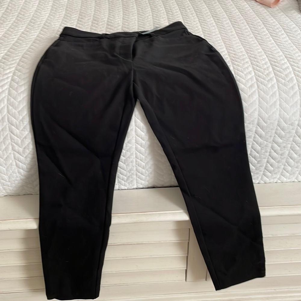 Loft petite pants